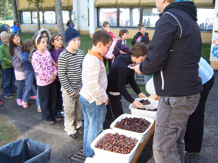 ola-jesen kostanjev piknik 2011 012